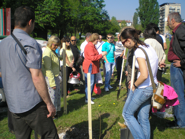 зелено и бяло растение през деня